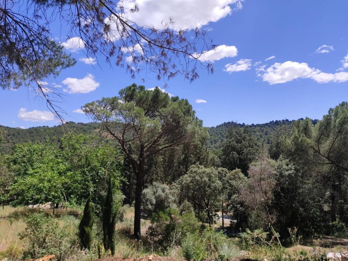 فيلا Bonita Casa Blanca En El Bosque. قرطبة المظهر الخارجي الصورة