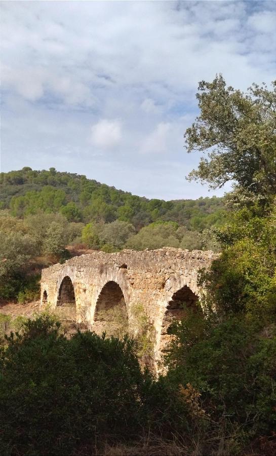 فيلا Bonita Casa Blanca En El Bosque. قرطبة المظهر الخارجي الصورة