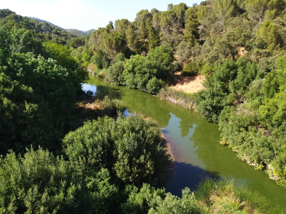فيلا Bonita Casa Blanca En El Bosque. قرطبة المظهر الخارجي الصورة