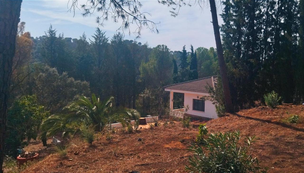 فيلا Bonita Casa Blanca En El Bosque. قرطبة المظهر الخارجي الصورة