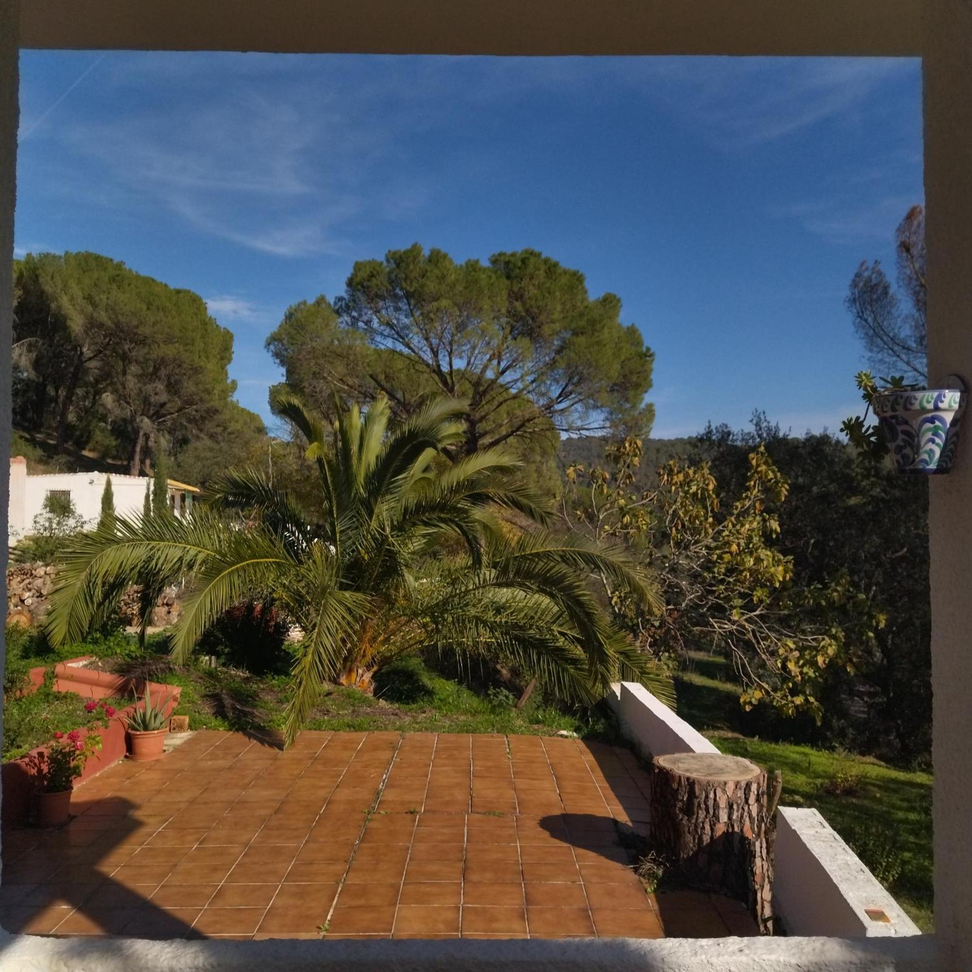 فيلا Bonita Casa Blanca En El Bosque. قرطبة المظهر الخارجي الصورة