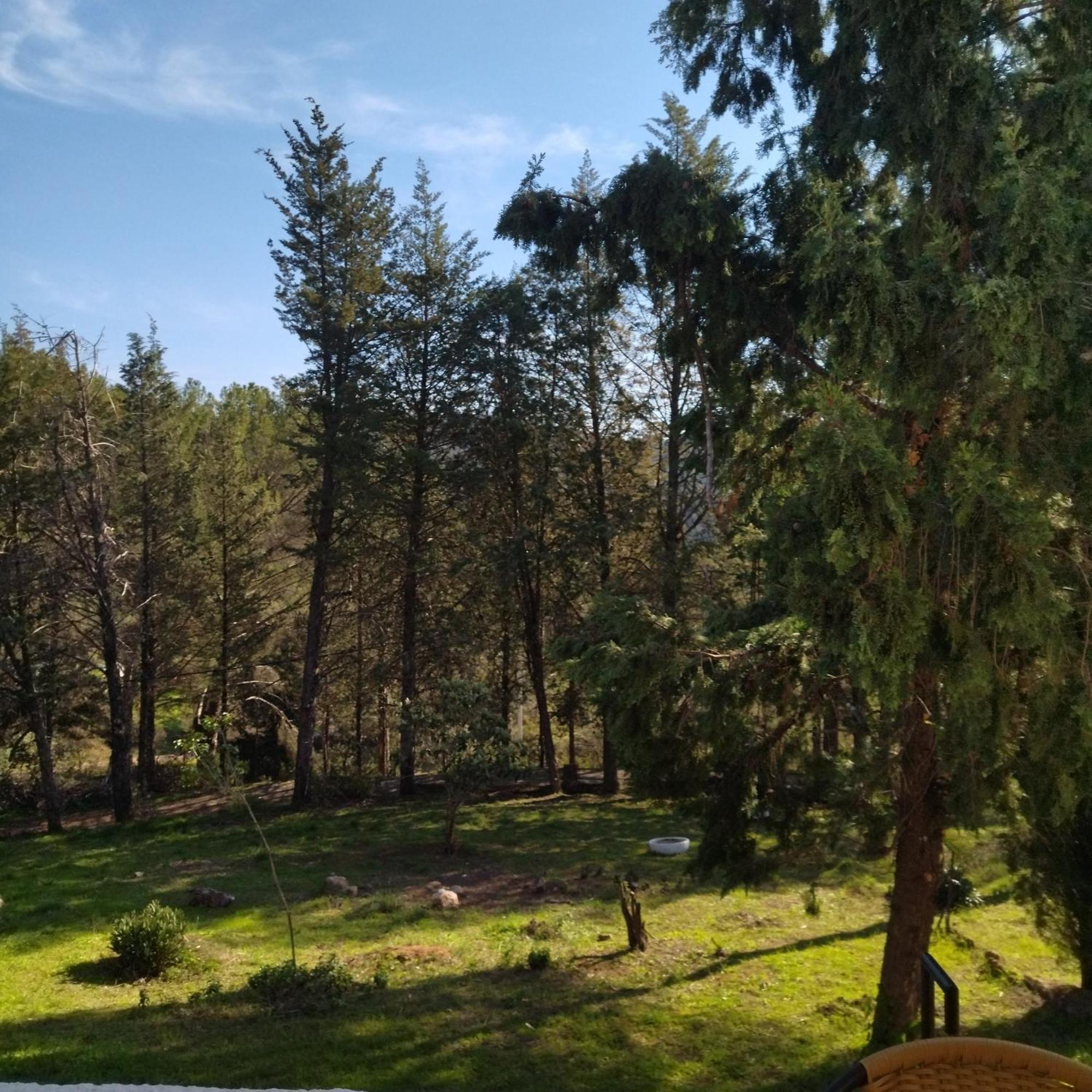 فيلا Bonita Casa Blanca En El Bosque. قرطبة المظهر الخارجي الصورة