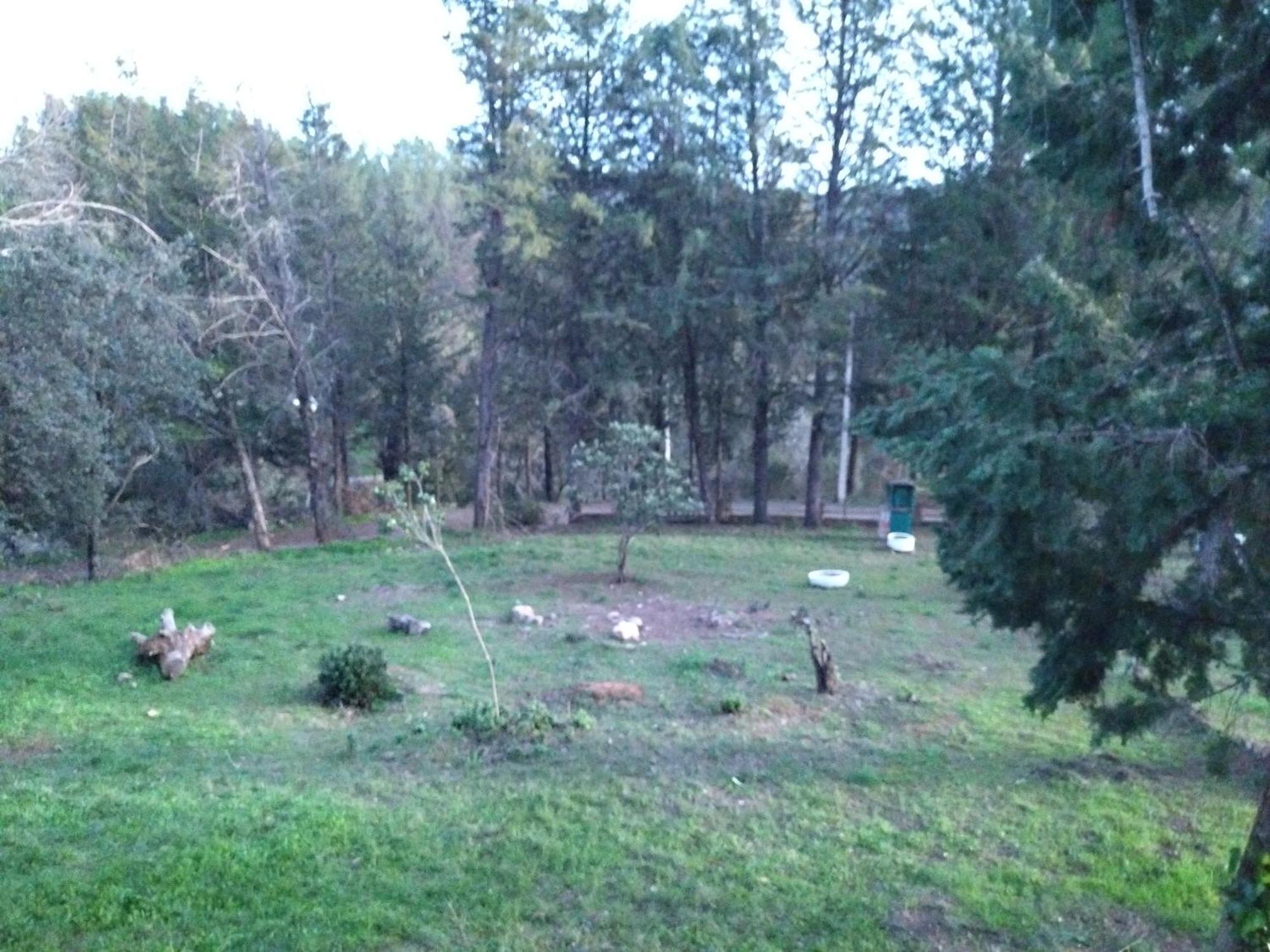 فيلا Bonita Casa Blanca En El Bosque. قرطبة المظهر الخارجي الصورة